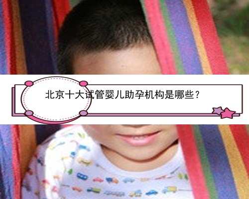 北京十大试管婴儿助孕机构是哪些？