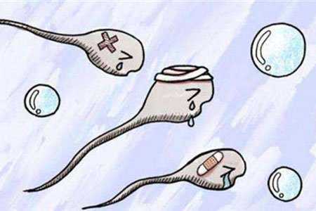 厦门试管代孕哪最好_32年过去了，中国首例“试管婴